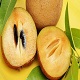 This is the thumbnail of the item